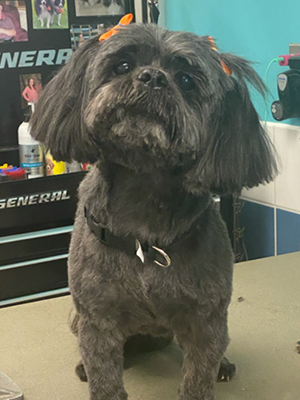 Coco