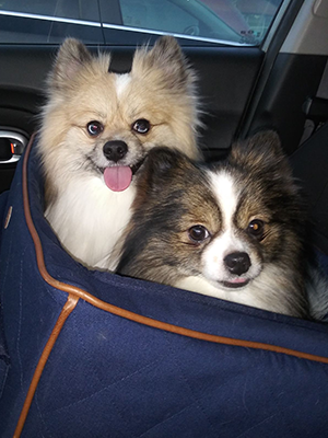 Riley and Sprout