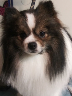 Riley
